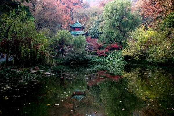 爱晚�? /></a><br><a href=